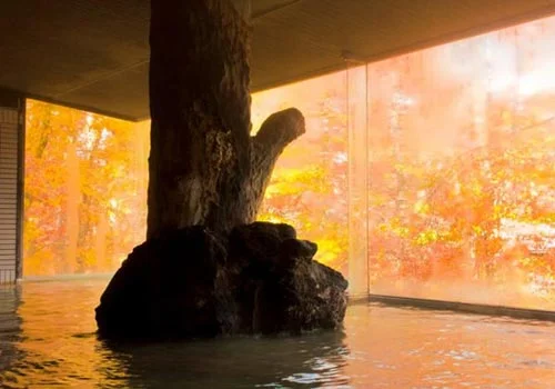 フォトアルバム1