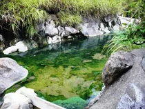 大湯温泉阿部旅館