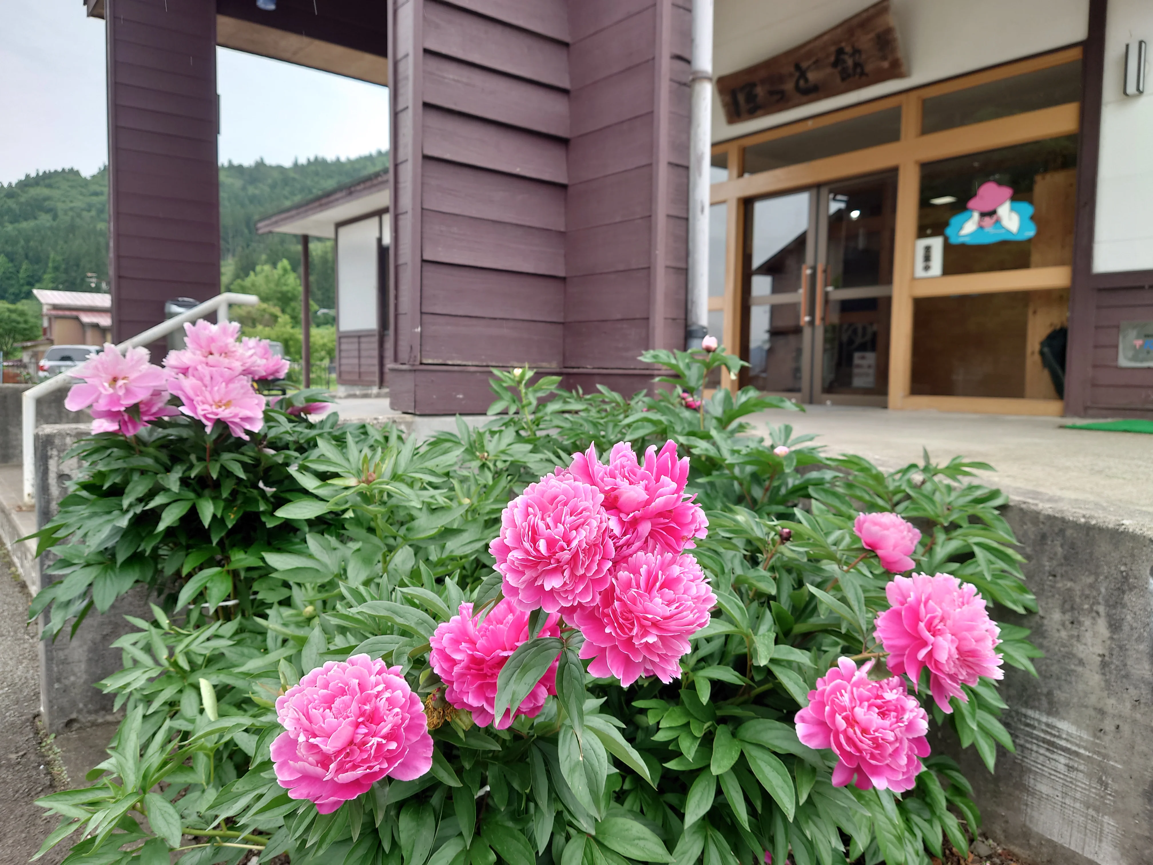 湯沢市リフレッシュ交流センター「ほっと館」 - 秋田県