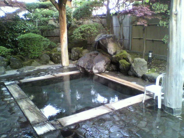 富士屋ホテル(閉館しました)