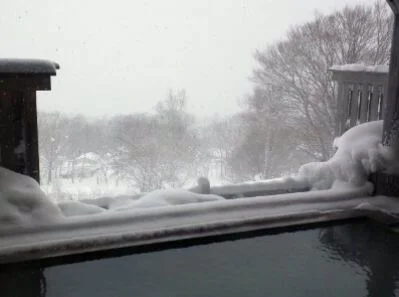 アルパこまくさ