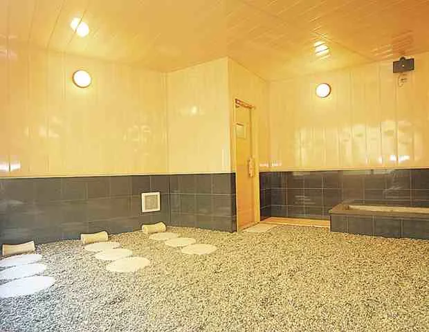 森岳温泉 ホテル森山館