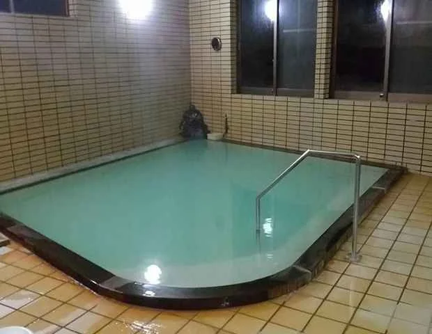南郷夢温泉 共林荘