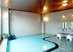 大湯温泉　旅の宿　元の湯 - 秋田県