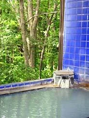 Tazawako Kogen Mizusawa Onsen Village Ryokan Aohsanso - Akita