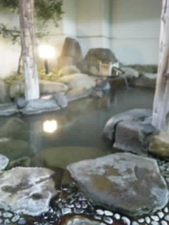 天然温泉　田沢湖レイクリゾート