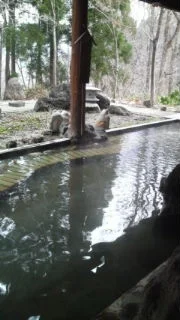 天然温泉　田沢湖レイクリゾート