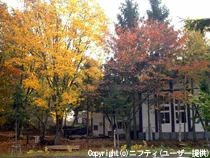 Kokumin Shukusha Tazawako Lodge Ichino-yu (Tazawako Youth Hostel) - Akita