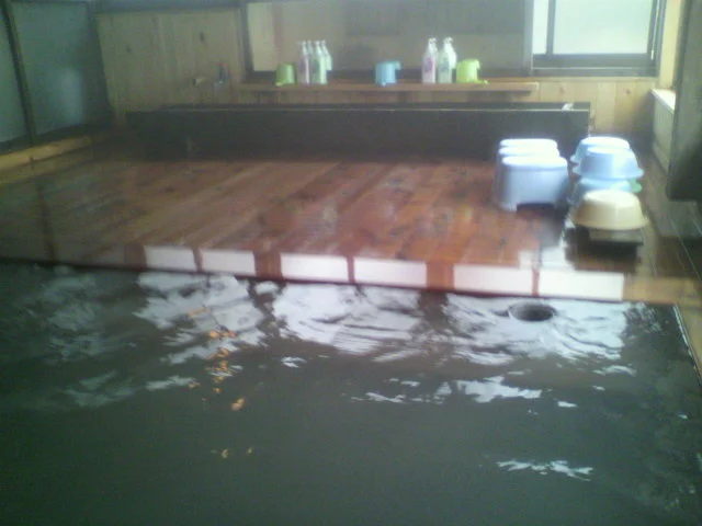 源泉・秘湯の宿 蒸ノ湯（ふけのゆ）