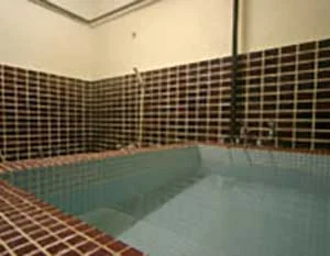 ロッジ チロル(閉館しました)