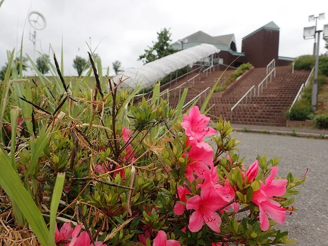 ハイジアパーク南陽(閉館しました)