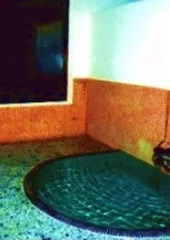 湯田川温泉 甚内旅館 - 山形県