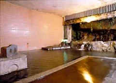 Akakura Onsen Yu-no-Yado Yuzawaya - Yamagata