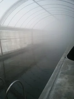 湯の瀬温泉