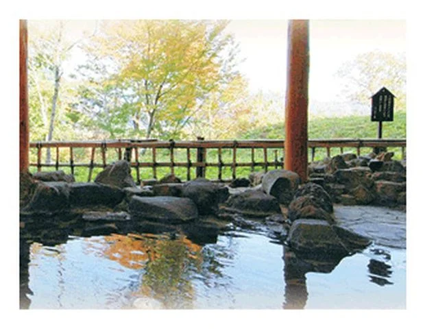 健康福祉プラザ 保養センター　もがみ（閉館しました）