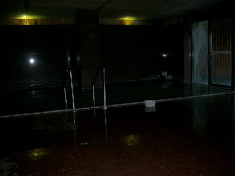 健康福祉プラザ 保養センター　もがみ（閉館しました）