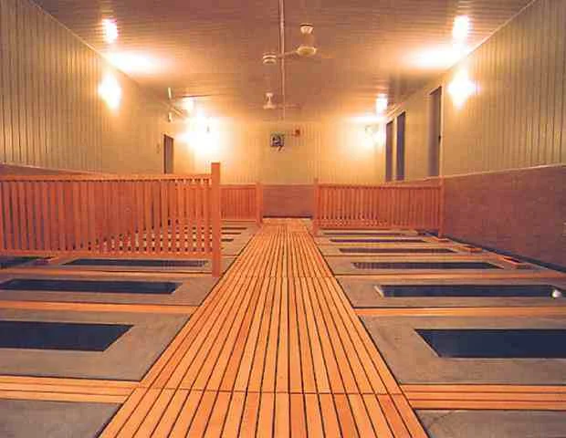 秘石 黄泉石 波動温浴 山形ゆたか