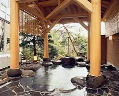 Akayu Onsen Tansen Hotel - Yamagata