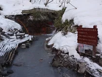 大湯沼川天然足湯