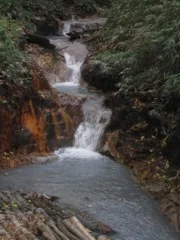 大湯沼川天然足湯