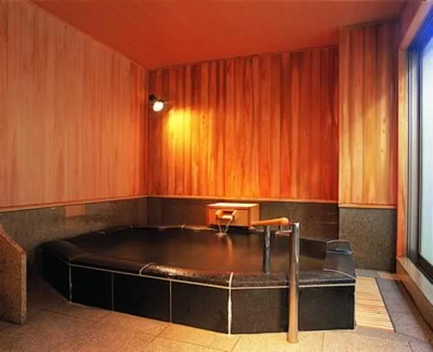 奥湯野浜温泉 龍の湯(たつのゆ)