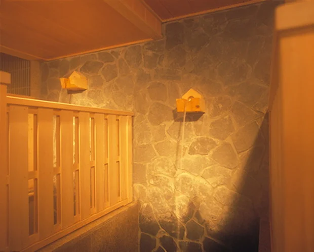 奥湯野浜温泉 龍の湯(たつのゆ)