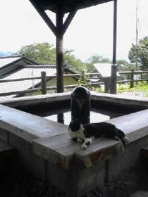上山城の足湯