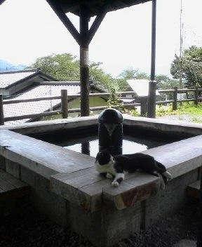 上山城の足湯