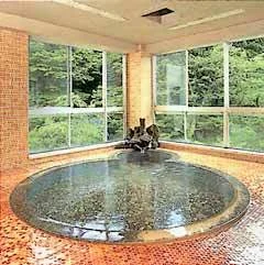 羽根沢温泉　ホテル紅葉館 - 山形県