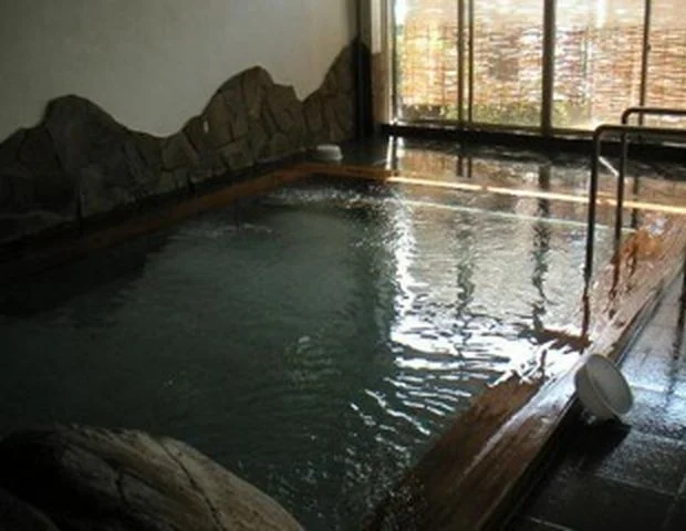 青田健康ランド(旧 臥龍温泉保養センター)