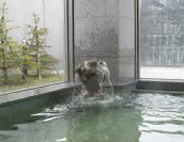 道の駅 かみゆうべつ温泉チューリップの湯