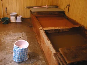 古寺鉱泉 朝陽館(閉館しました)