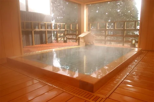 かみのやま温泉 旅館三恵 - 山形県