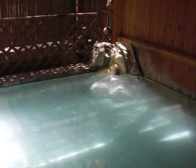 蔵王温泉 ホテル ラルジャン蔵王