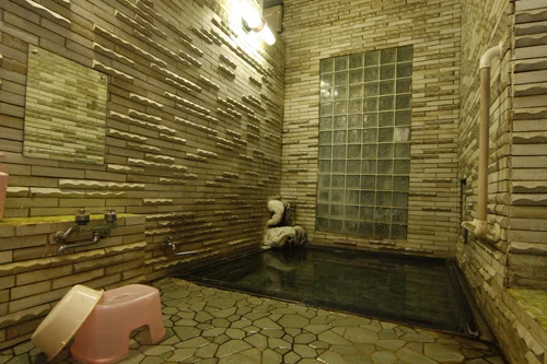 Kaminoyama Onsen Hataya Ryokan - Yamagata