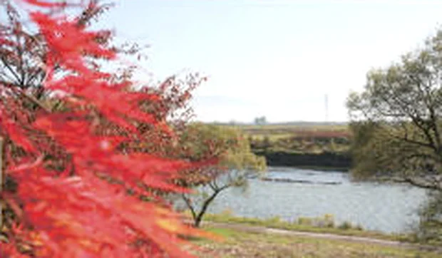 寒河江花咲か温泉 ゆ～チェリー