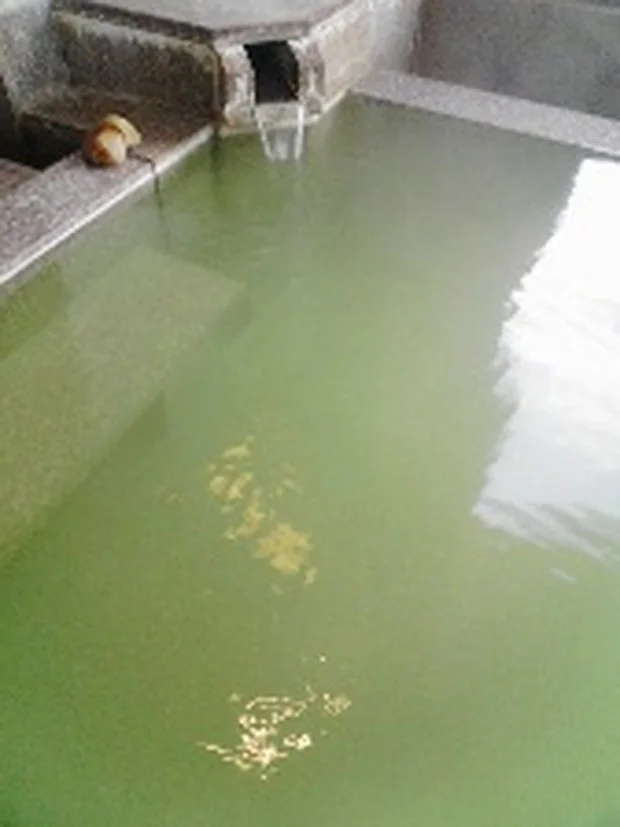 テルメ柏陵　健康温泉館