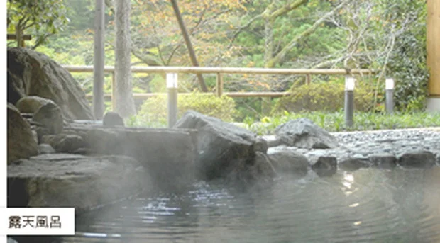 休石温泉 太田屋旅館（やすみいしおんせん）