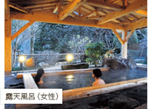 休石温泉 太田屋旅館（やすみいしおんせん）