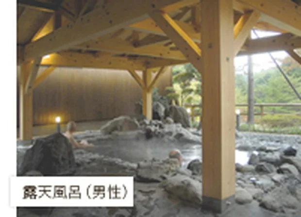 休石温泉 太田屋旅館（やすみいしおんせん）
