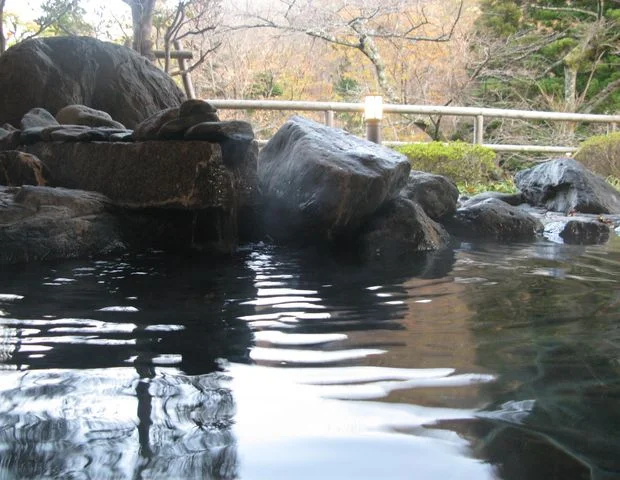 休石温泉 太田屋旅館（やすみいしおんせん）