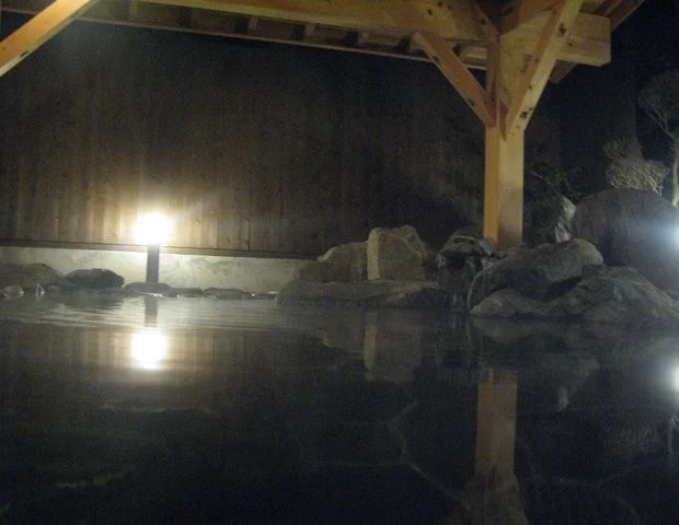 休石温泉 太田屋旅館（やすみいしおんせん）