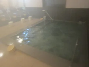 休石温泉 太田屋旅館（やすみいしおんせん）
