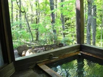 中の沢温泉 御宿 万葉亭 - 福島県