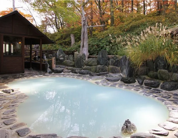 野地温泉ホテル