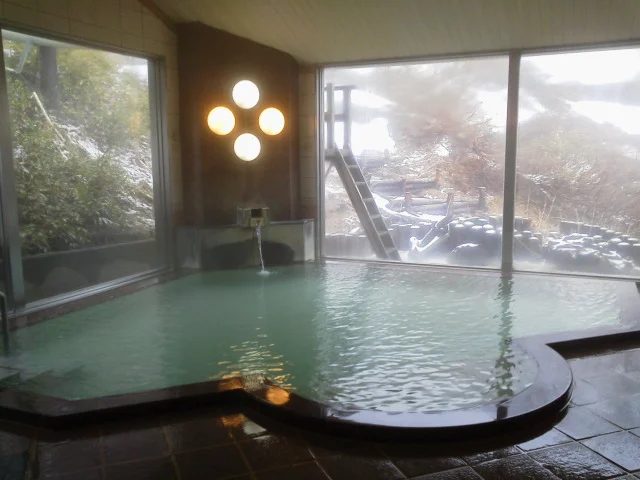 野地温泉ホテル