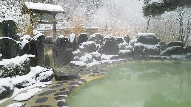 野地温泉ホテル