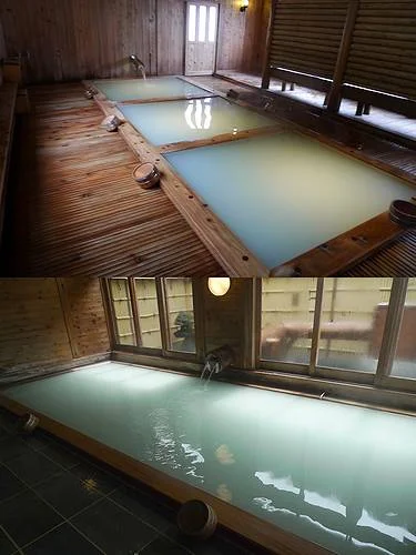 野地温泉ホテル