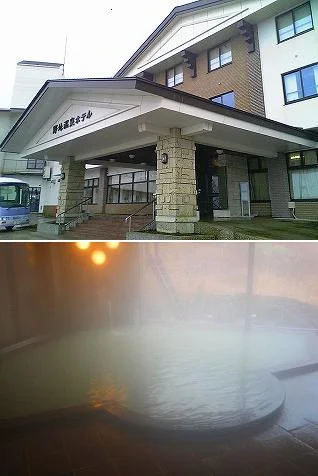 野地温泉ホテル