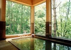 Onsen Pension Forest Bath - Fukushima